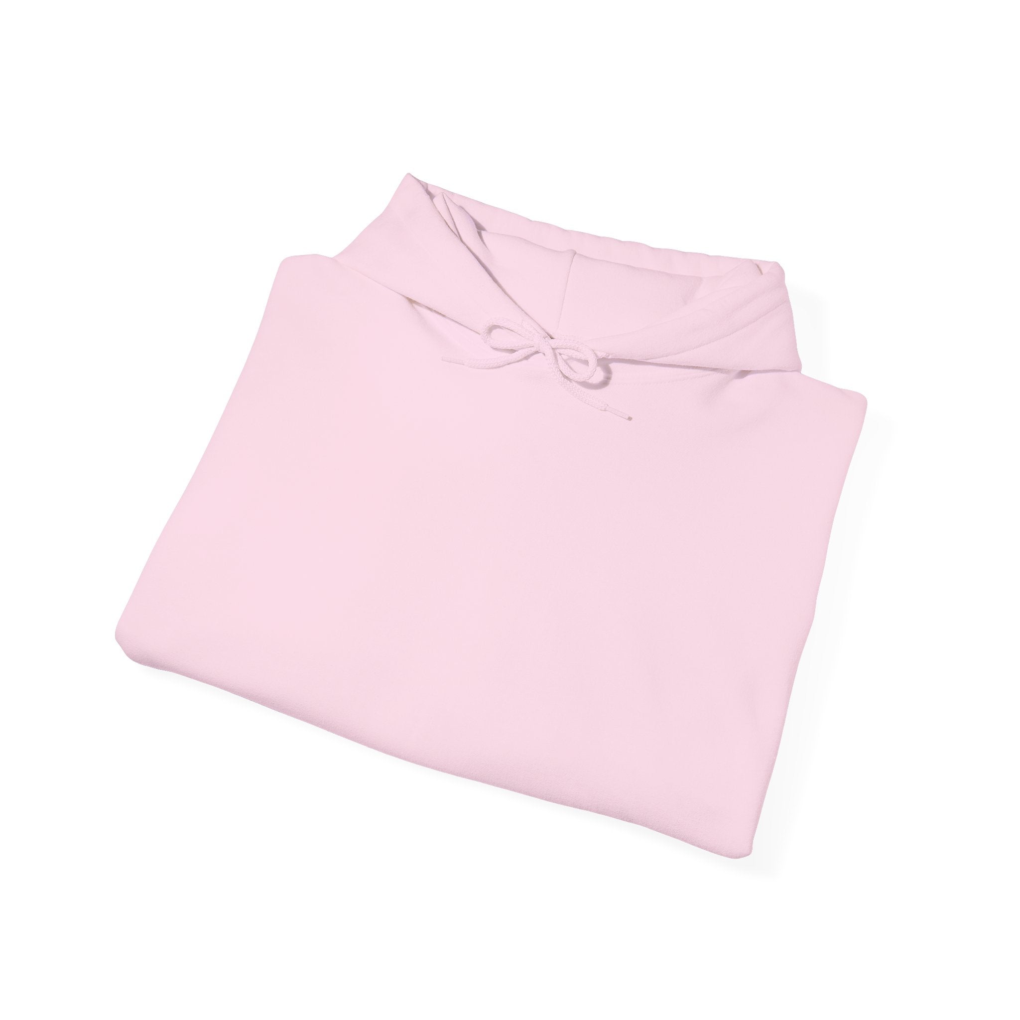 Soft and Paid Hoodie